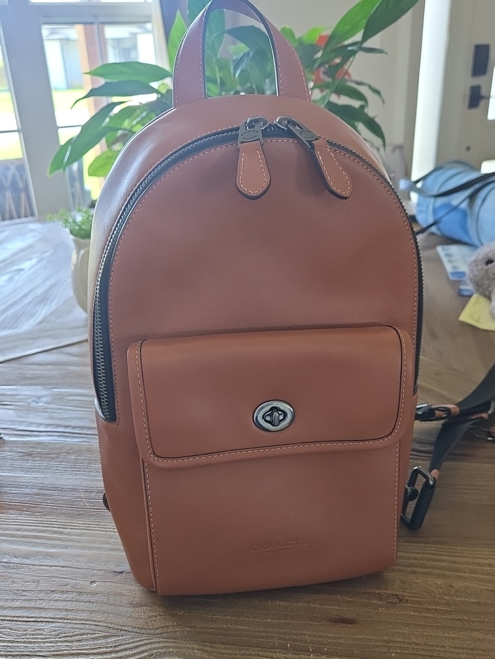 Coach Brown Leather Backpack